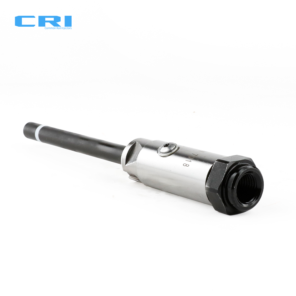 G1F100004W7018-2 - commonrailinjectors