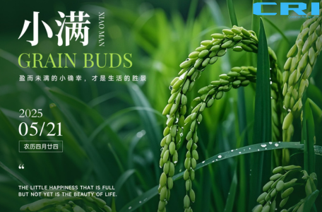 Common Rail Injector - Blog