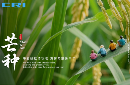 Common Rail Injector - Blog