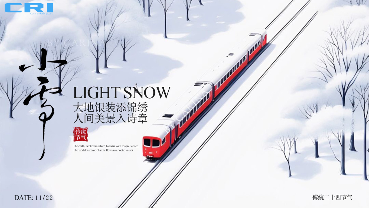 Light Snow Warmth Solution – 0445110135 Common Rail Injector