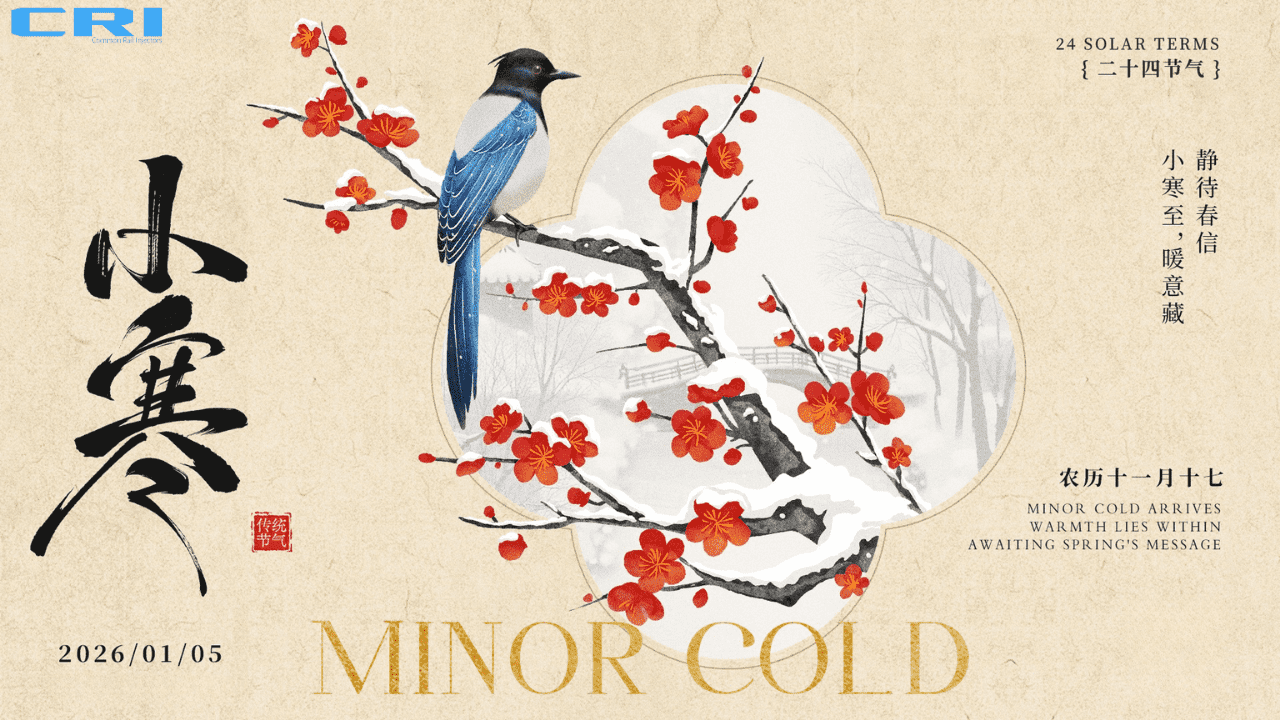 Minor Cold Warmth Gift | 0445120035 Common Rail Injector Promotion